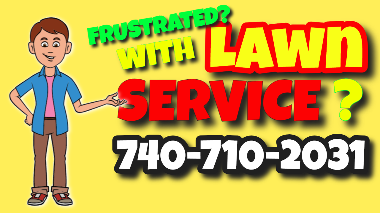 Local Lawn Care Near Me Martin County Florida